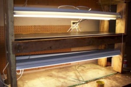 How to Build a Grow Rack for Seed Starting
