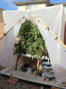 homemade hydroponics garden
