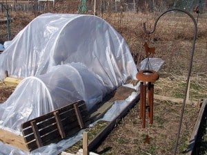 Poly low tunnels and hoops
