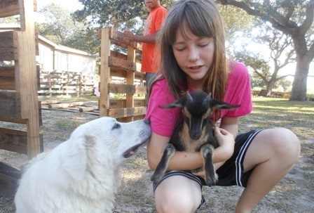 Kid holding a goat with her dog
