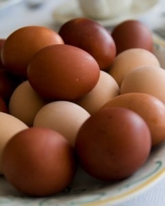roundup eggs