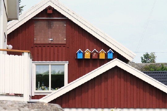 Birdhouses Plans amd Ideas