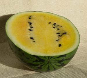yellow watermelon in half
