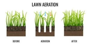 what does an aerator do for your lawn