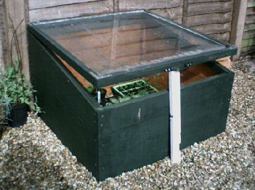 mini box greenhouse