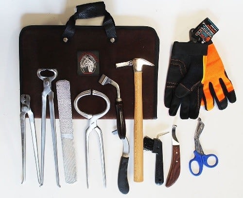 Complete Essential Farrier Tools Kits - Tools For the Professional Farrier