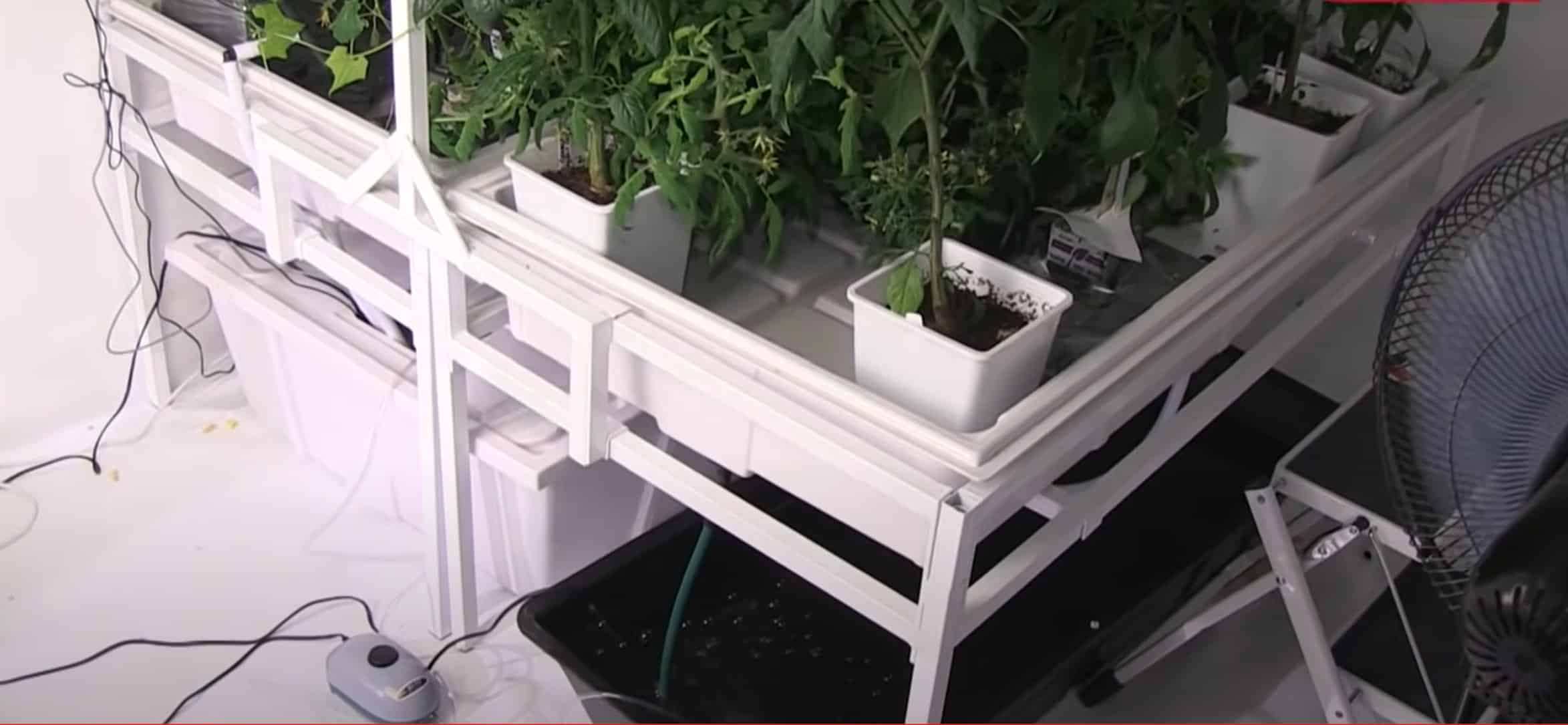 Ebb And Flow System For Hydroponics
