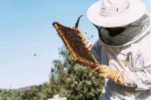 best beekeeping products