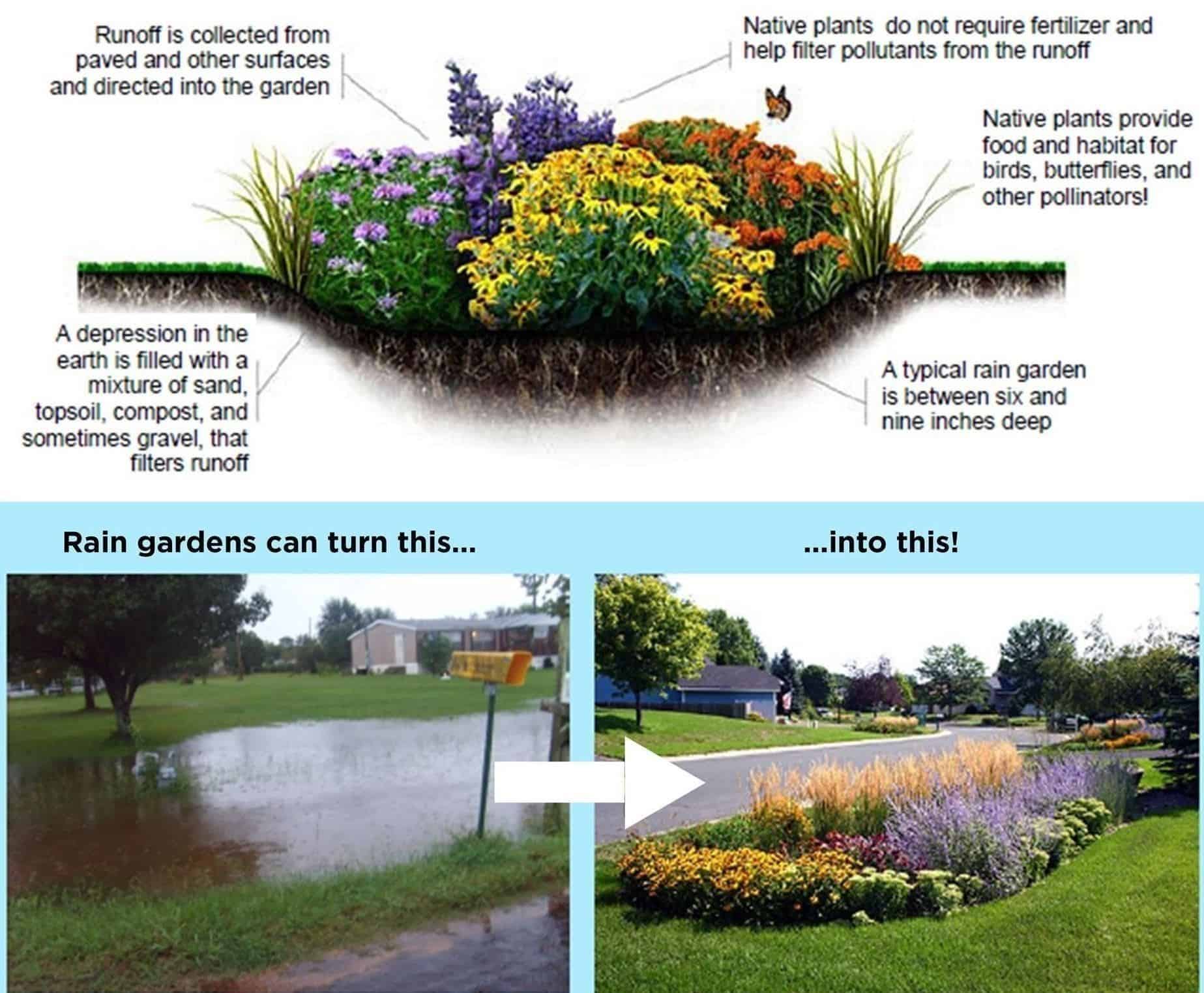 How to Build Rain Garden