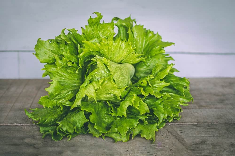 Lettuce easiest vegetables to grow