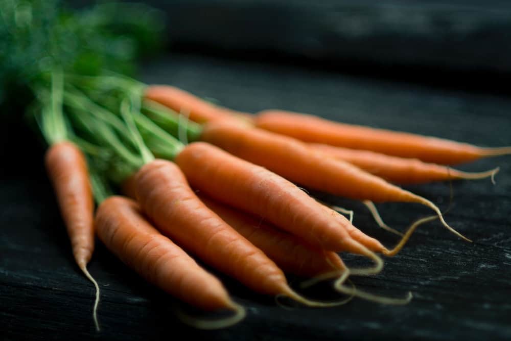  Carrots easy-growing vegetables