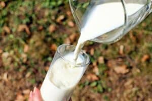 pouring cow milk in glass