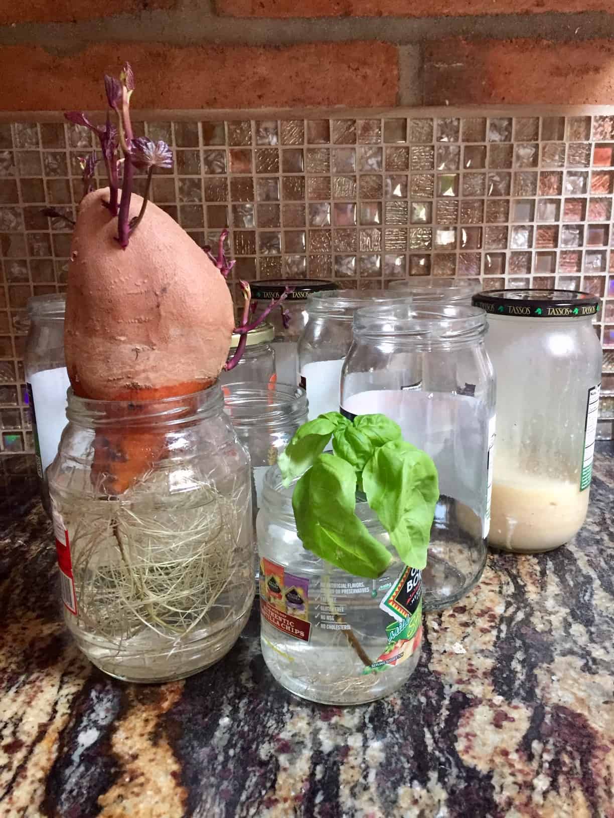 reuse glass jars