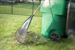 spring and fall yard cleanup