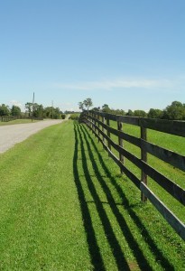 Rural Living Today