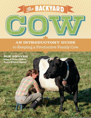 The Backyard Cow Guide To Keeping A Productive Family Cow