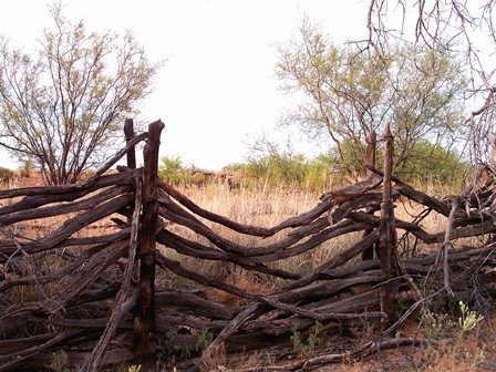 fencing old branch fence