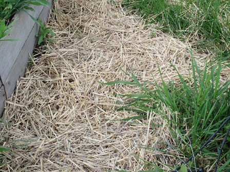 Building a Compost Pile