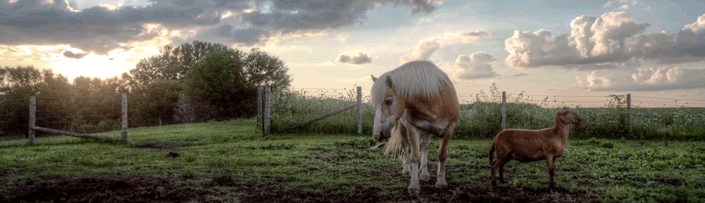 Rural Living Today