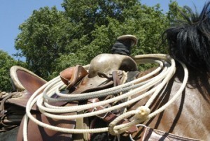 Making Ends Meet on the Farm