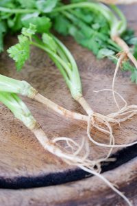 celery roots