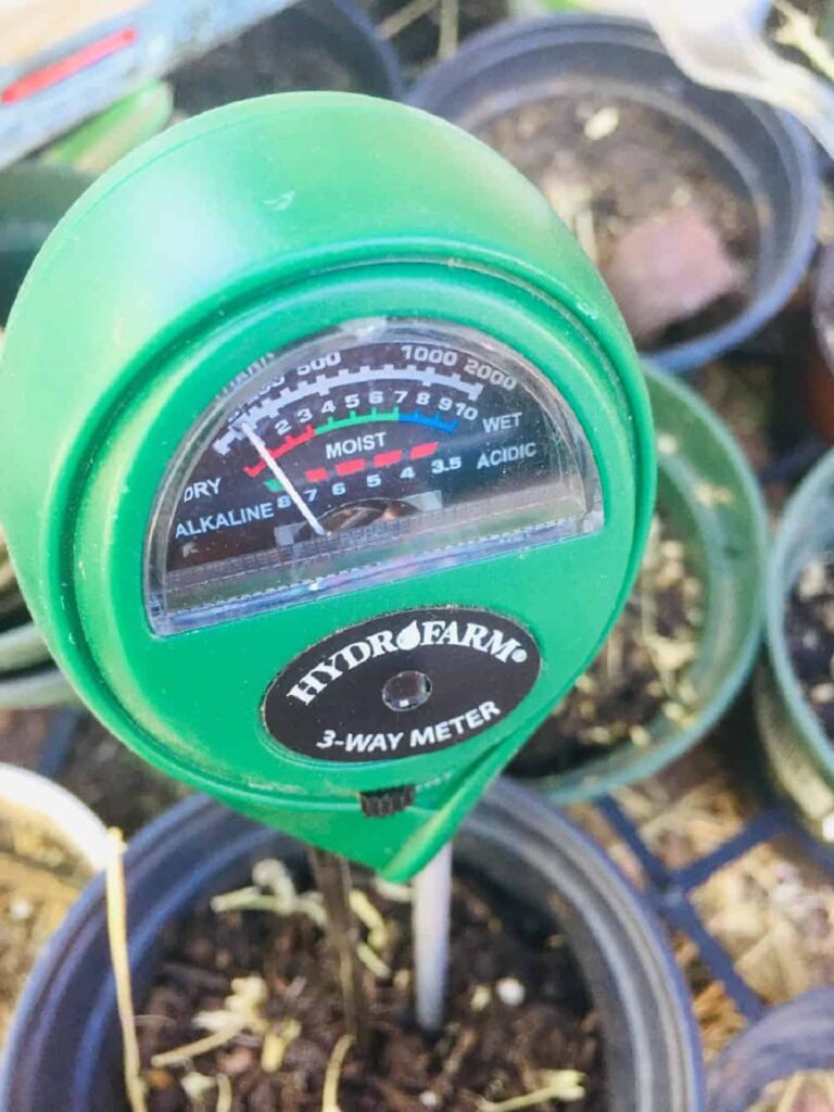 Best Greenhouse Equipment and Accessories to Consider Rural Living Today