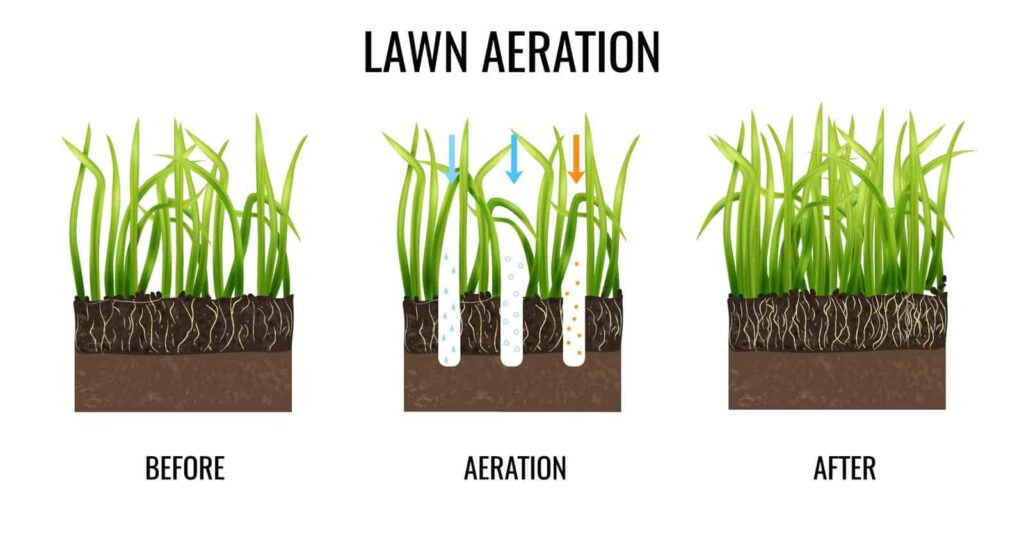 Lawn Aerator: Tips for At-Home Landscaping - Rural Living Today