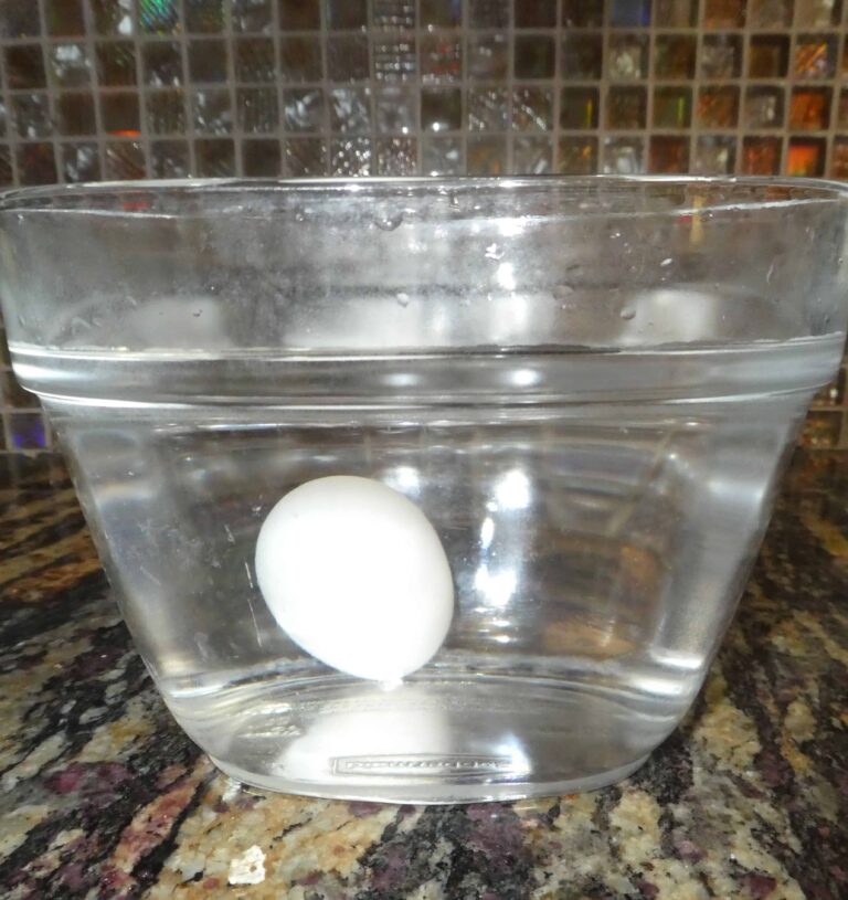 Methods of Checking Egg Freshness | Rural Living Today