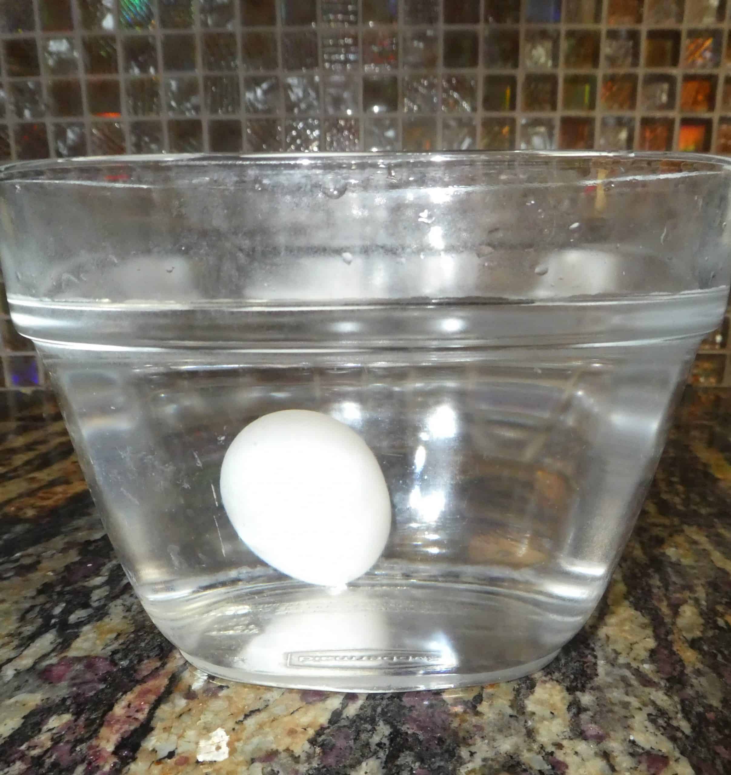 egg float test