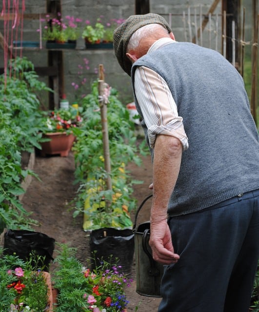 greenhouse watering system