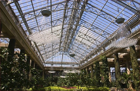 indoor greenhouse