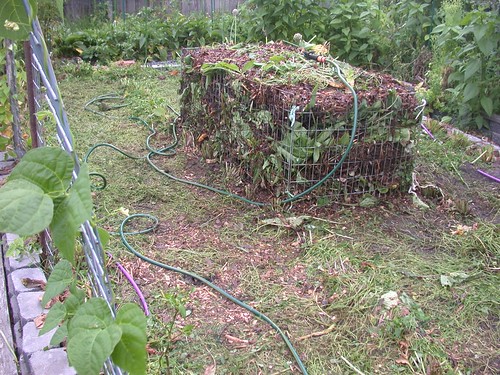 How to Start a Compost Pile