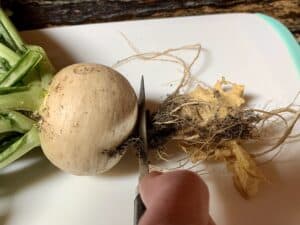how to store turnips