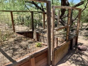 start a vegetable garden in DIY raised beds