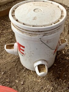 5 gallon bucket chicken feeder