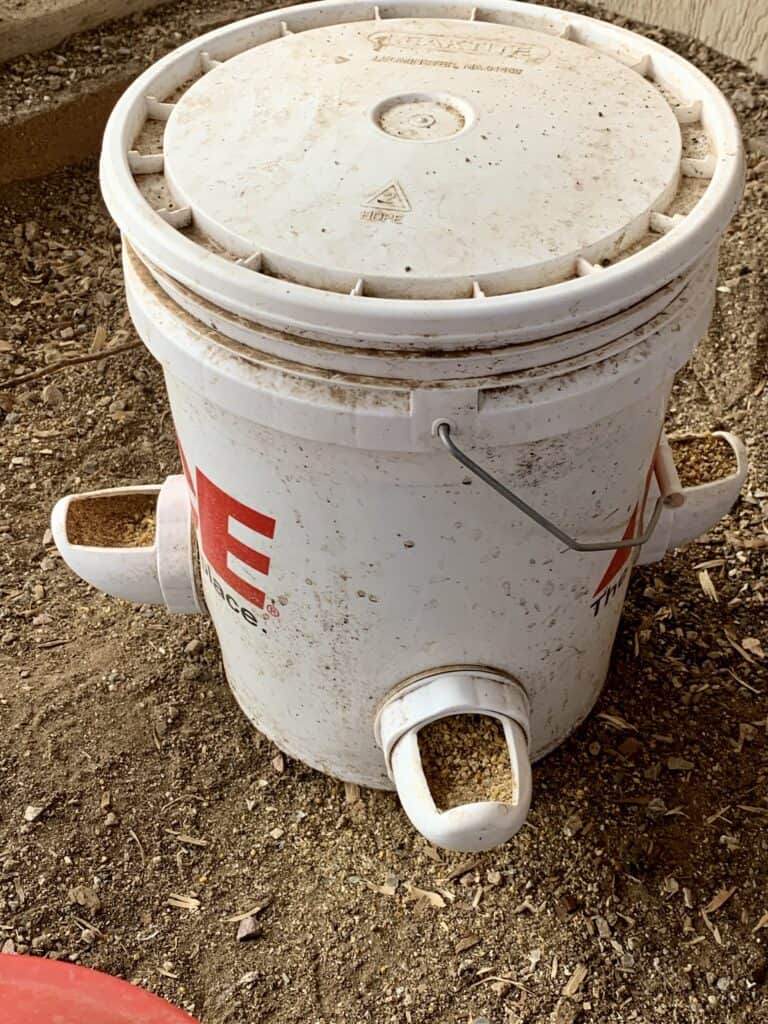 5 gallon bucket chicken feeder