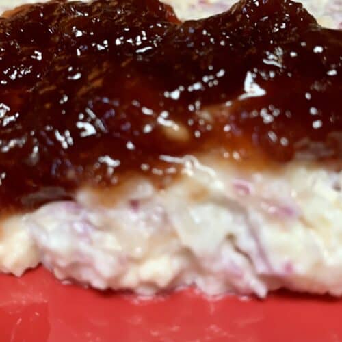 Easy White Cheddar and Red Onion Dip 4 Ingredients and No Bake