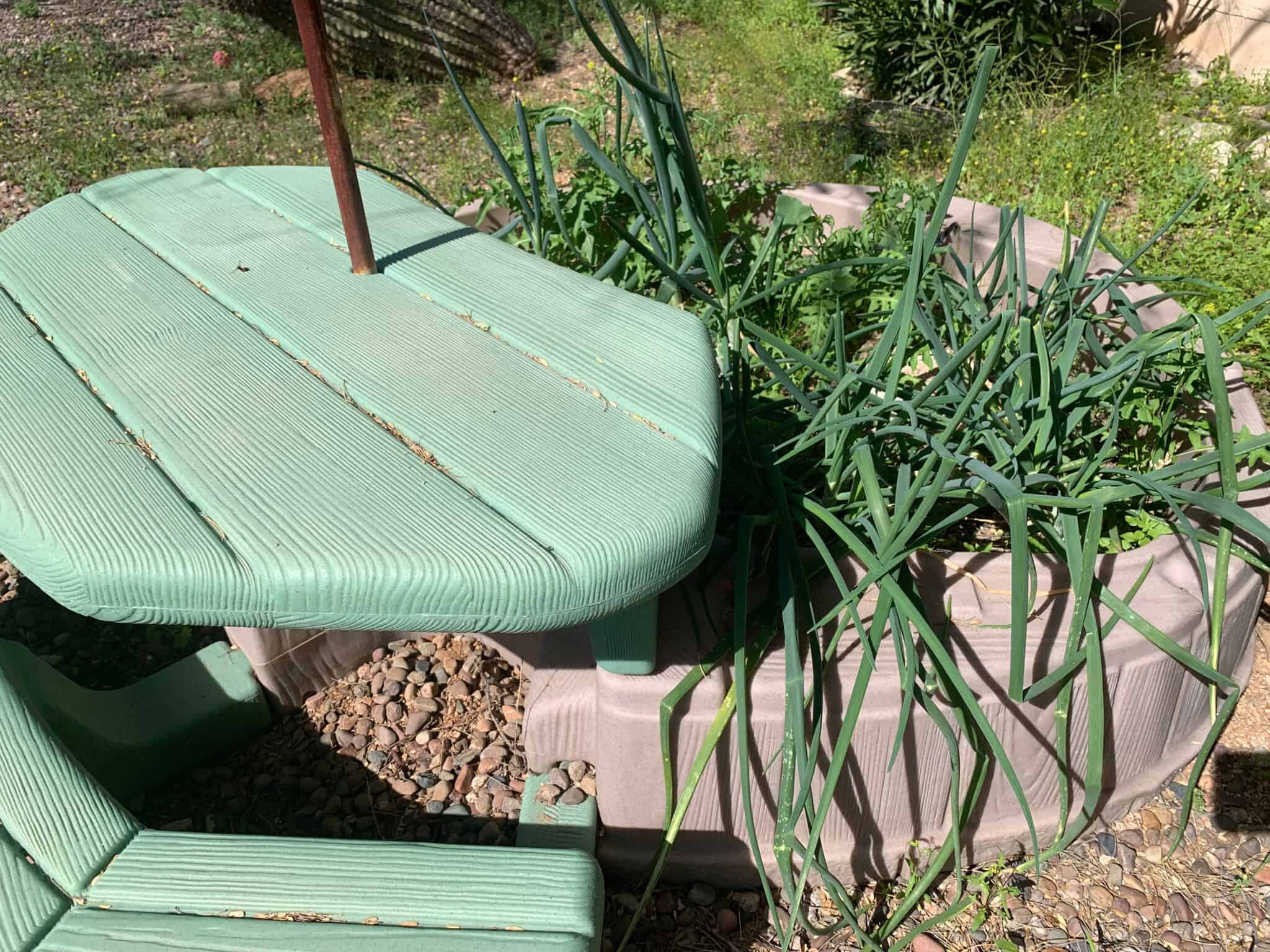 67+ Homesteading Ideas to Get You Started - Rural Living Today