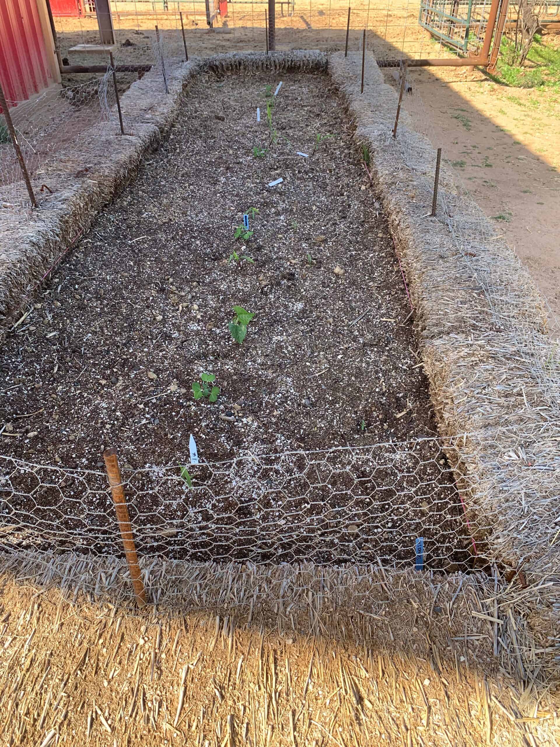 straw bale raised bed