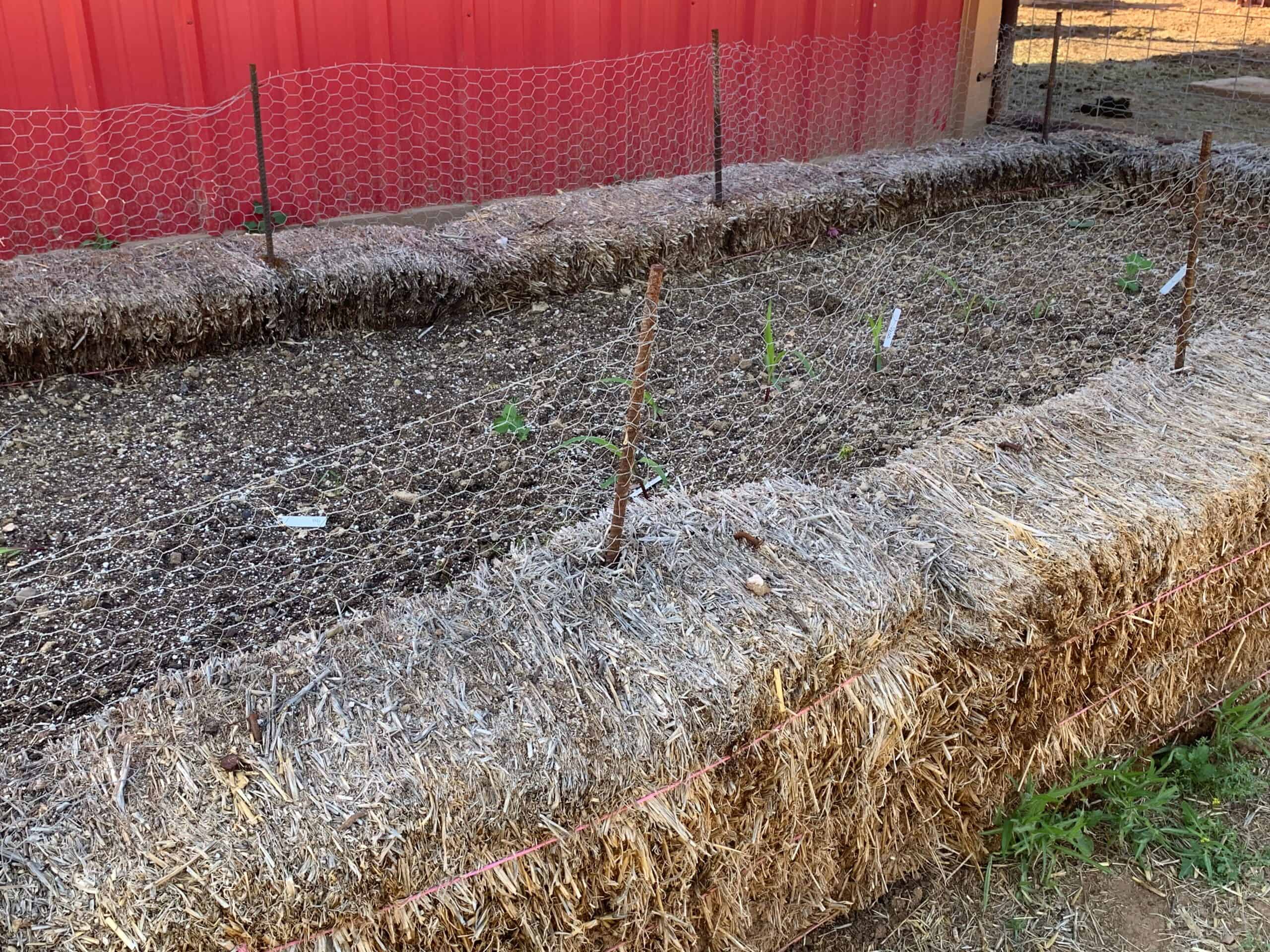 straw bale garden