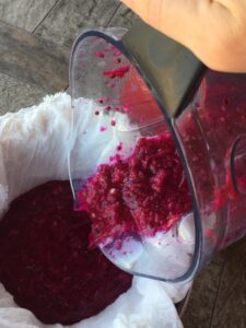 Pouring harvested prickly pear juice into strainer