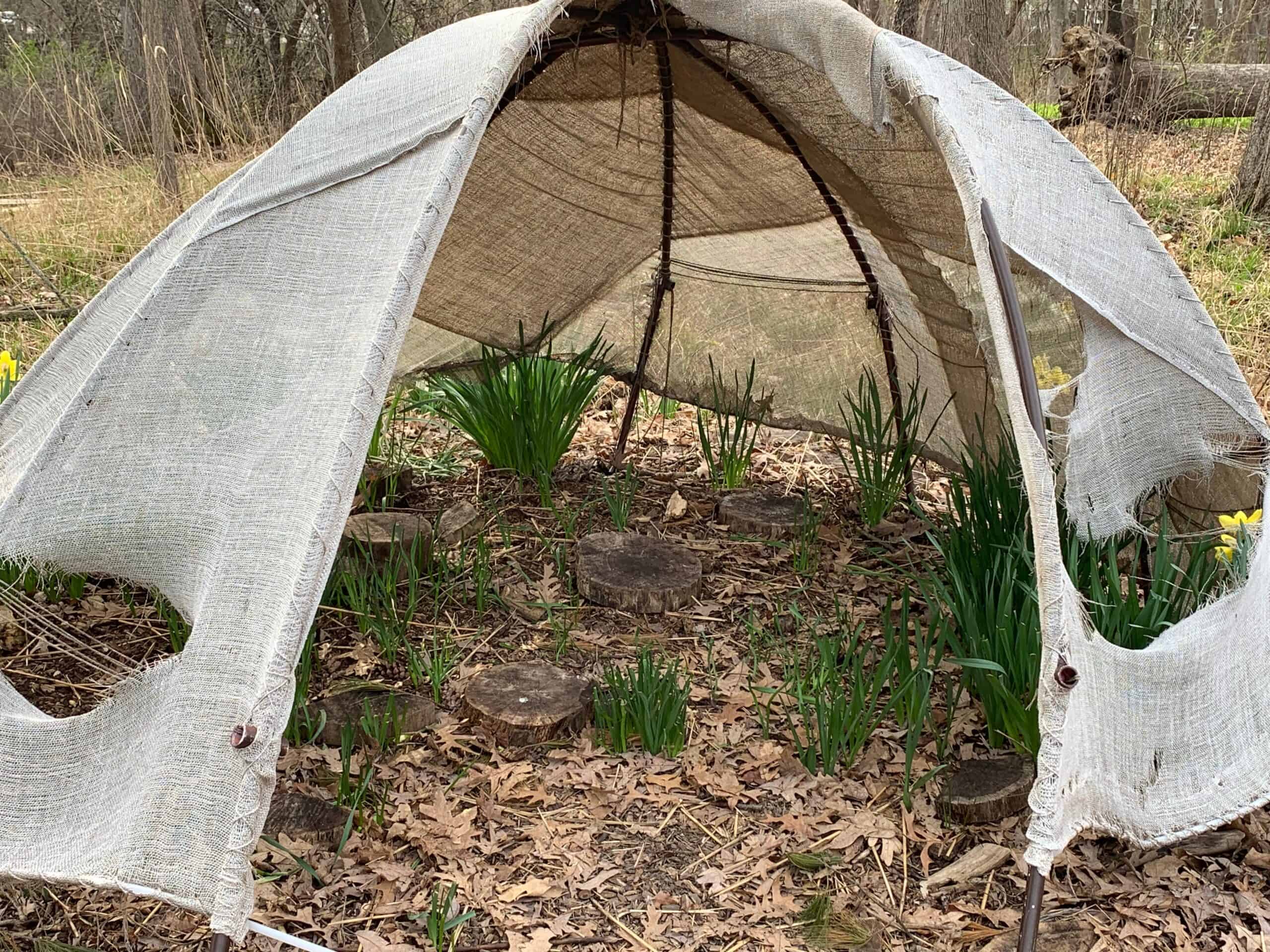 Winter plant cover