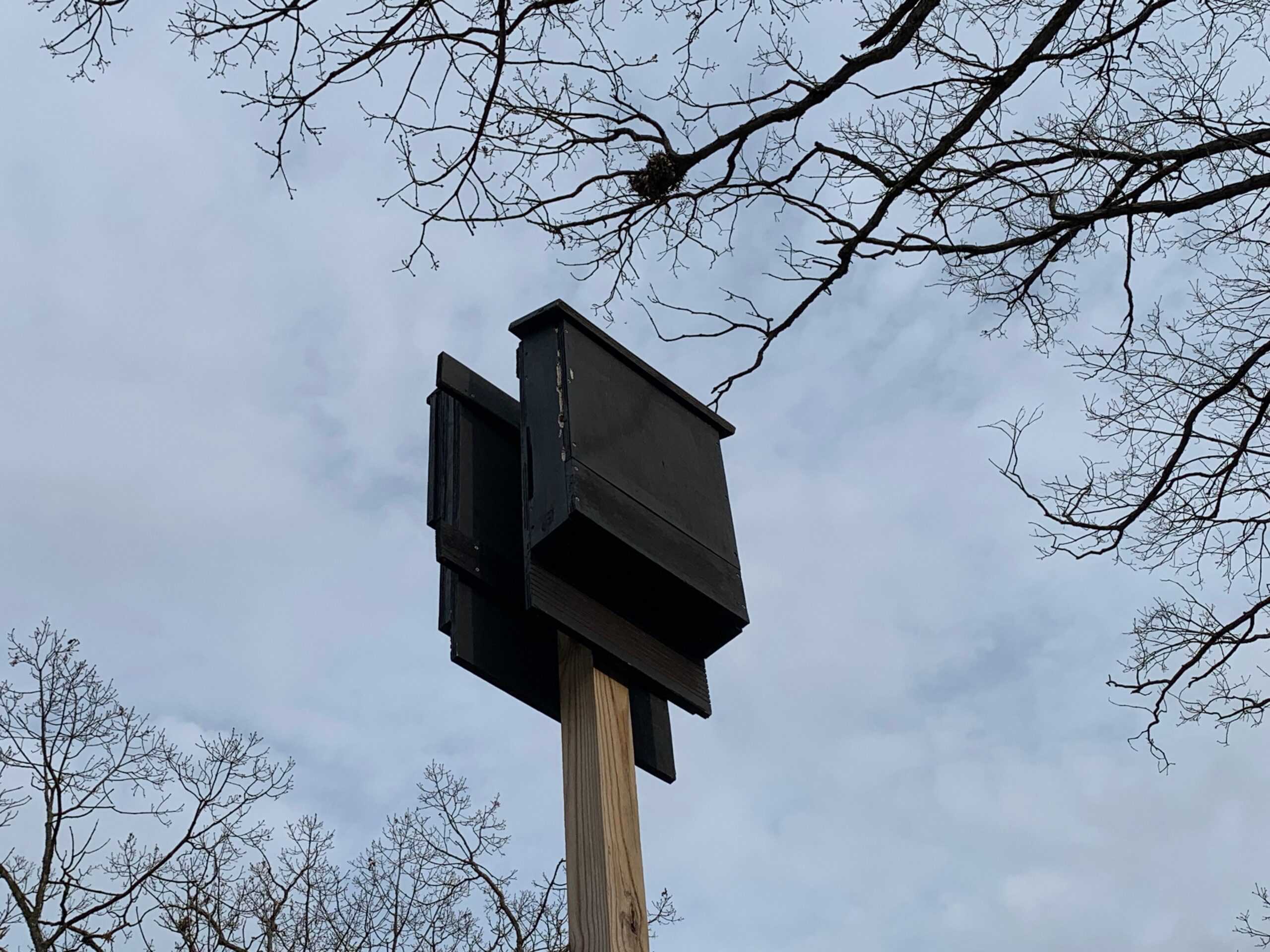 bat boxes on post