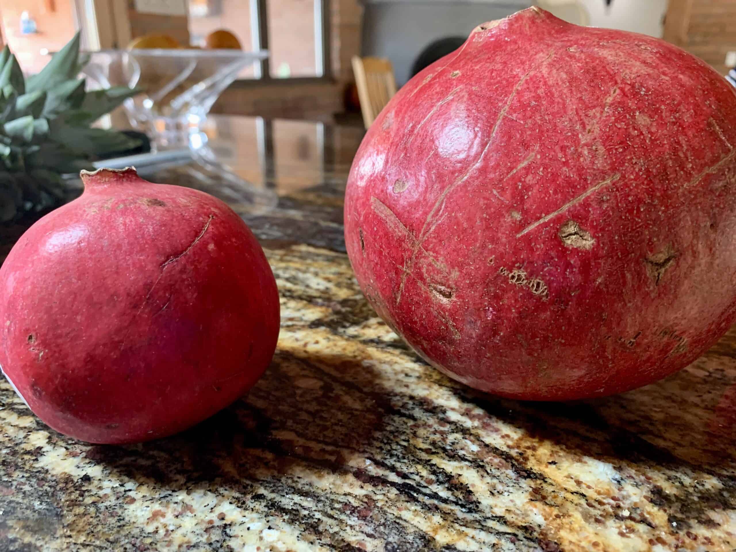 size of regular vs jumbo pomegranate