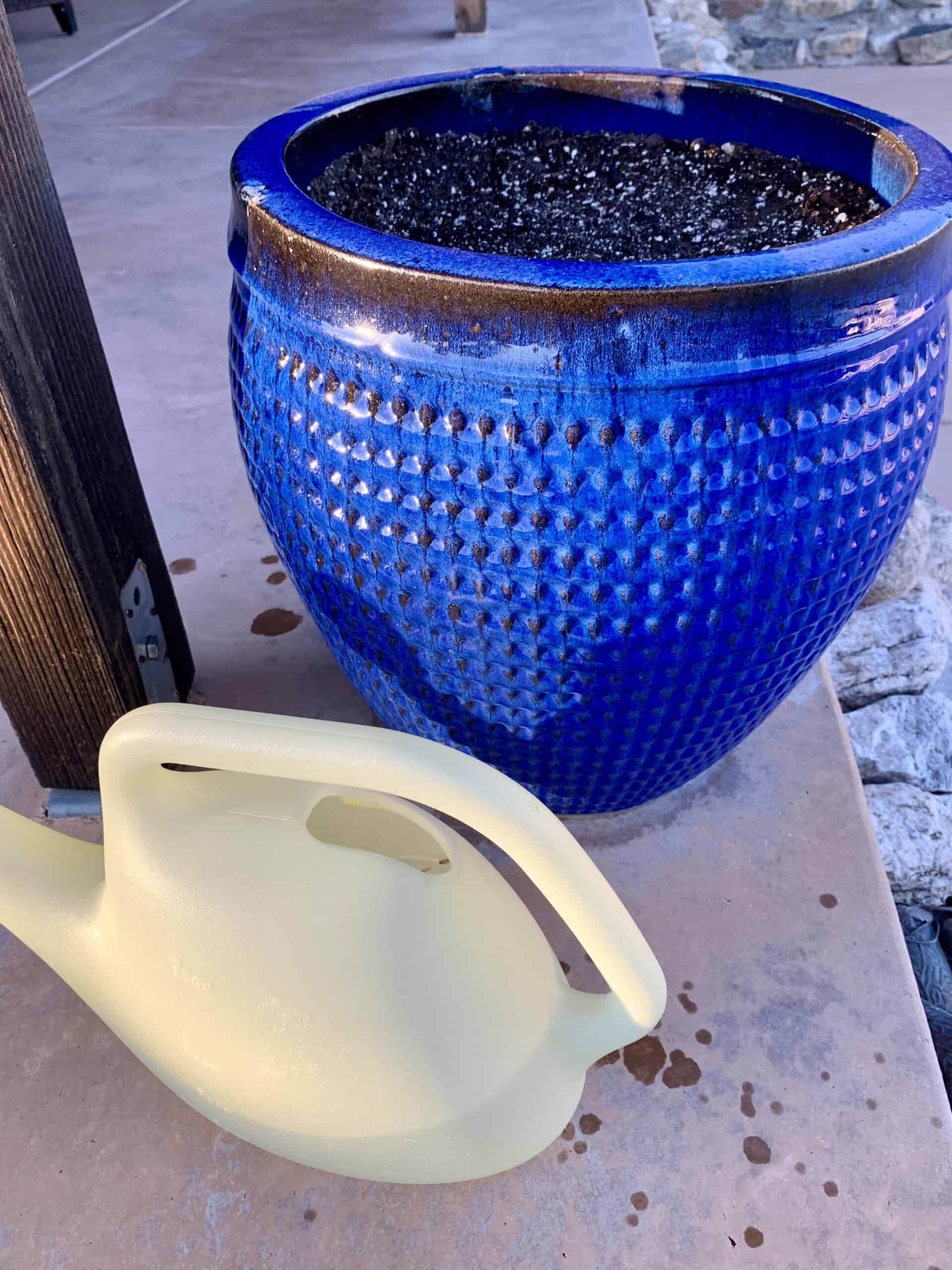 watering seeds in large planter