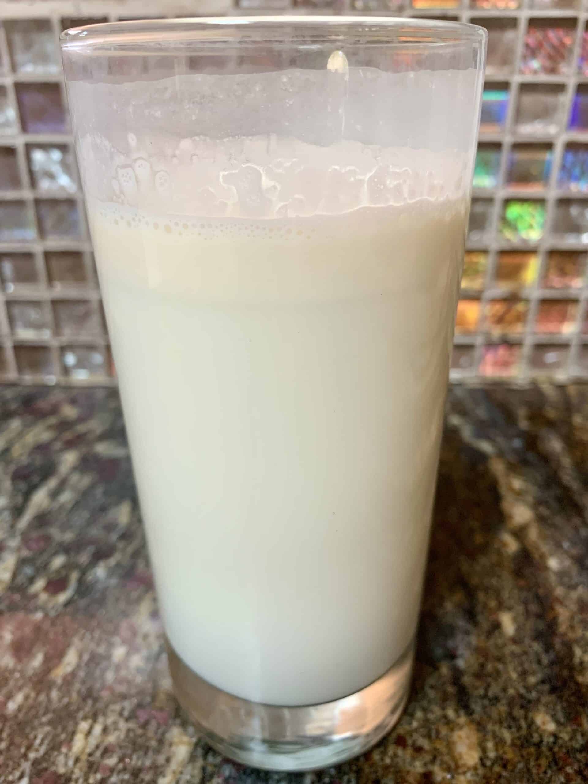 raw milk from Jersey cow with fat layer on top