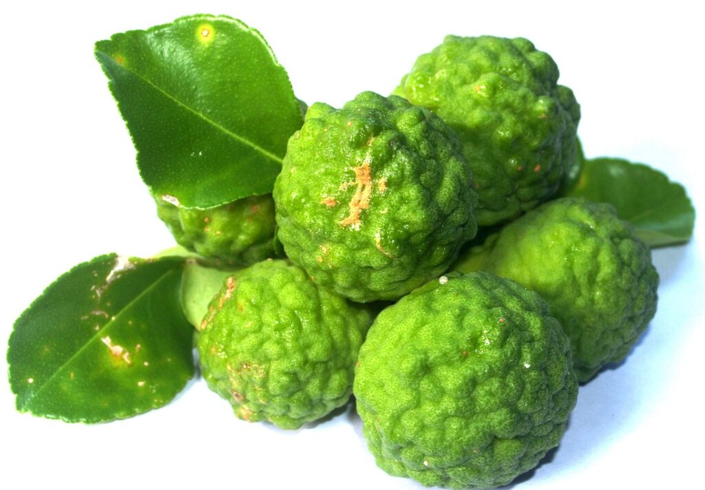 kaffir lime leaves and fruits