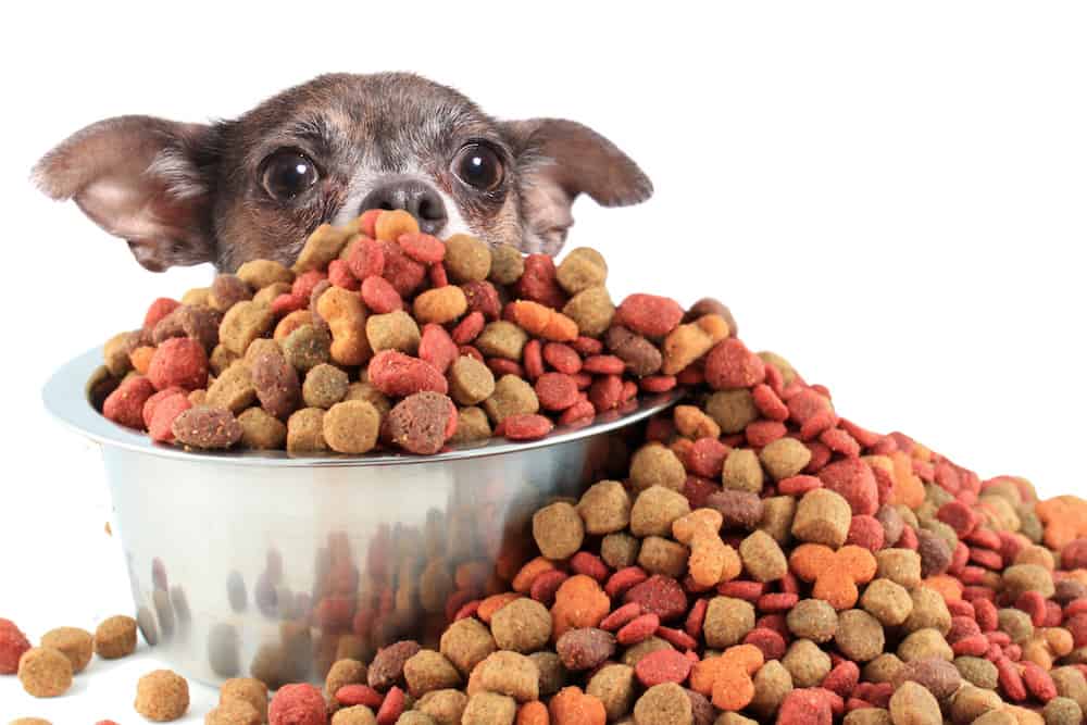 Best Organic Dog Food Comparison We Found the Best Chickens