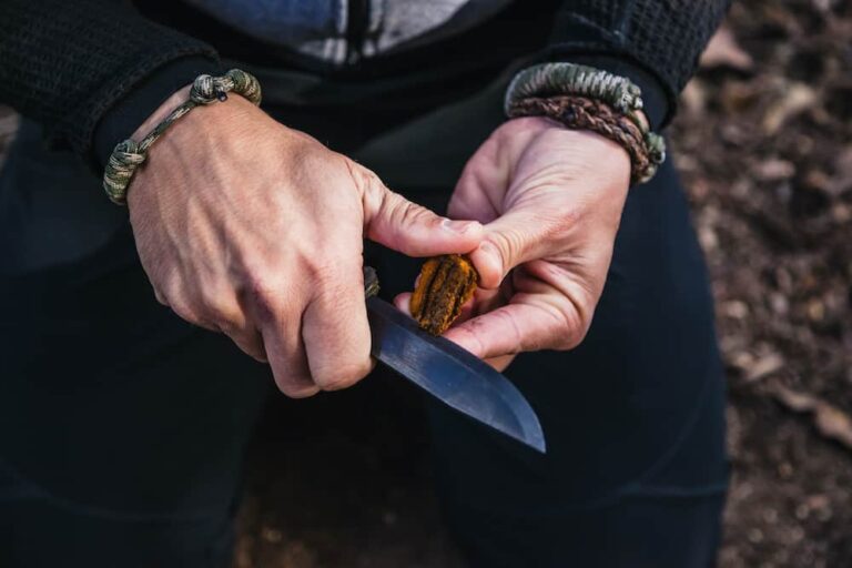 Best Survival Knife of 2023 Pros & Cons of 10 Knives