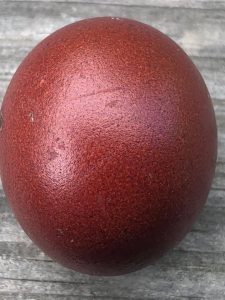 reddish brown maran egg